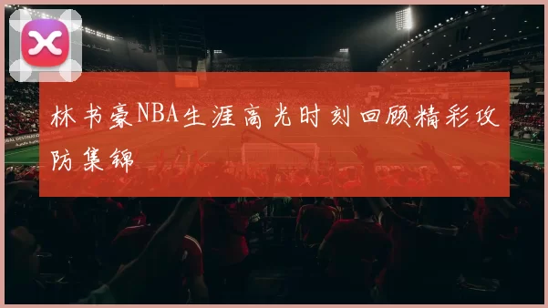 林书豪NBA生涯高光时刻回顾精彩攻防集锦