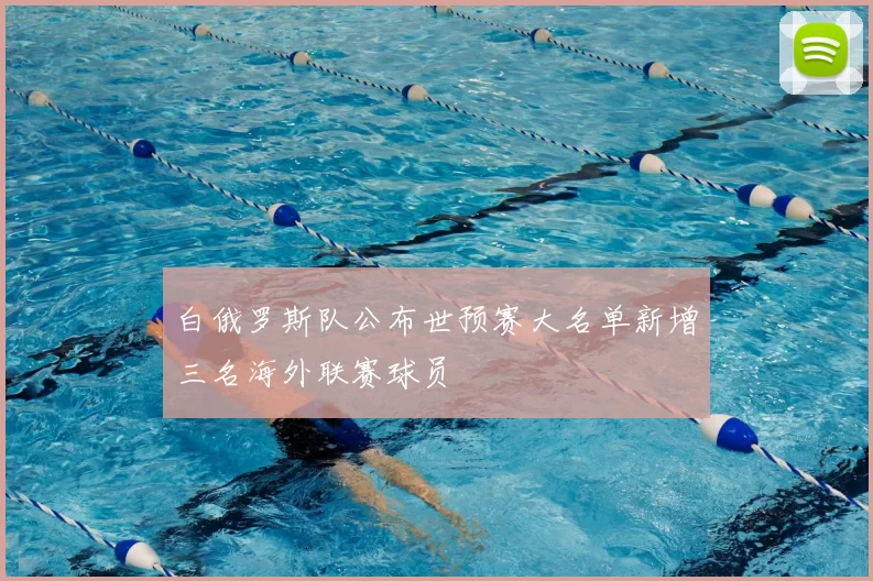 白俄罗斯队公布世预赛大名单新增三名海外联赛球员