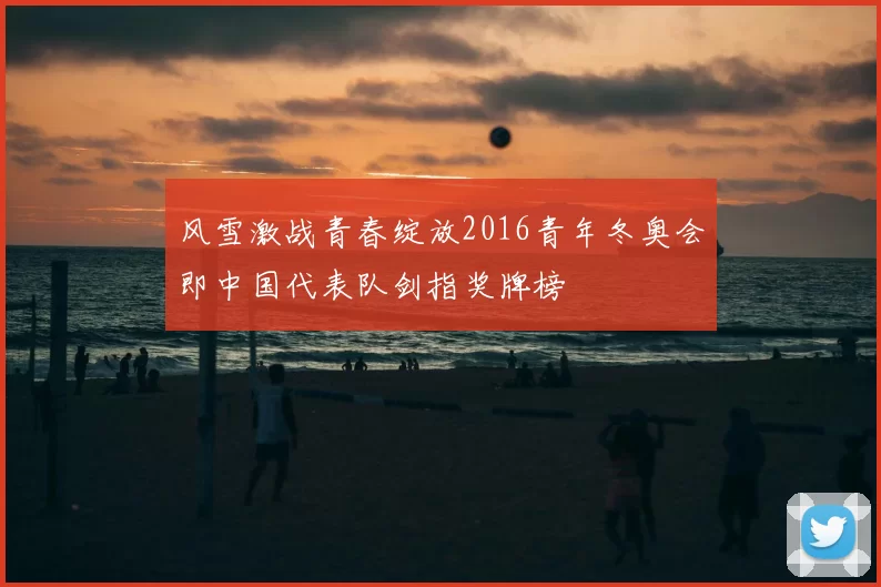 风雪激战青春绽放2016青年冬奥会即中国代表队剑指奖牌榜